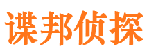 河北区市婚外情调查